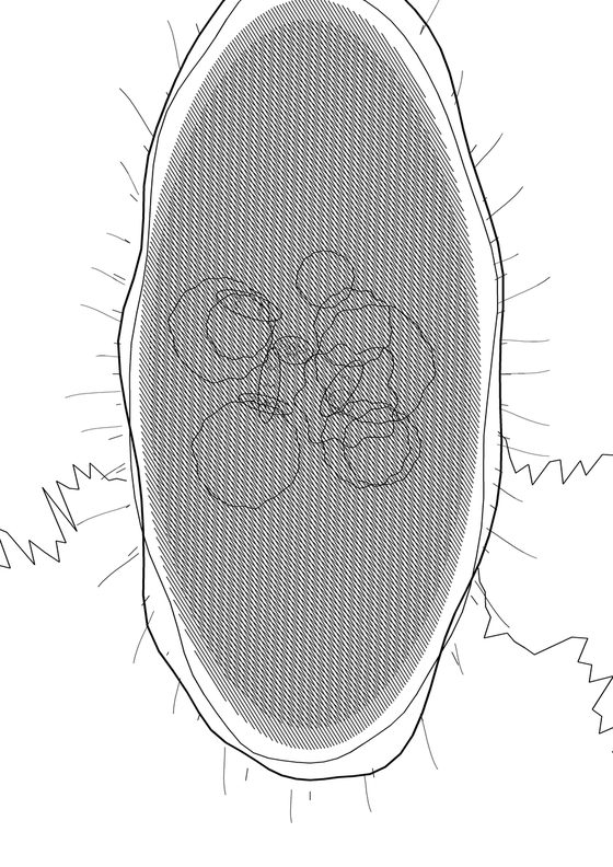 Scientific No. 462