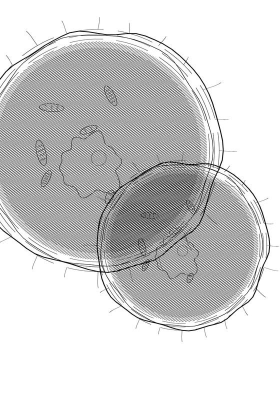 Scientific No. 542